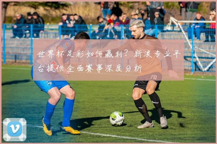 世界杯足彩如何赢利？新浪专业平台提供全面赛事深度分析
