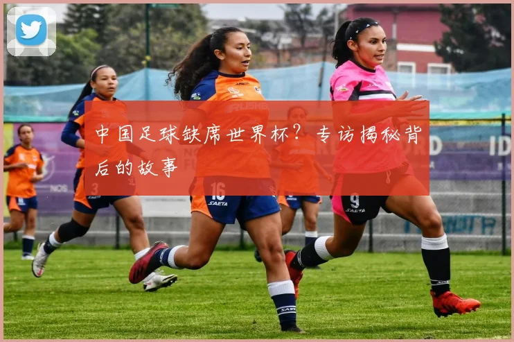 中国足球缺席世界杯?专访揭秘背后的故事