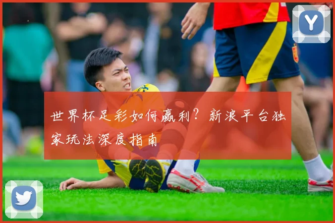 世界杯足彩如何赢利?新浪平台独家玩法深度指南